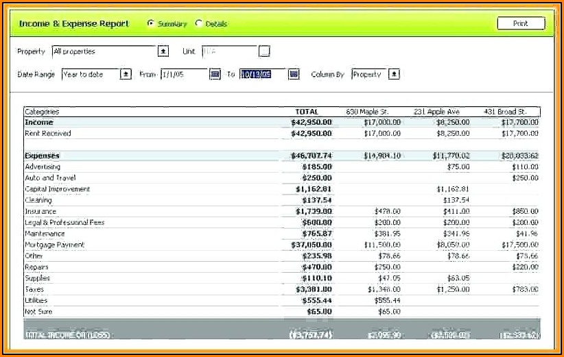 Income And Expense Report Template