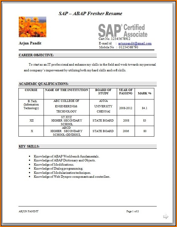 Resume Format For Sap Fico Freshers