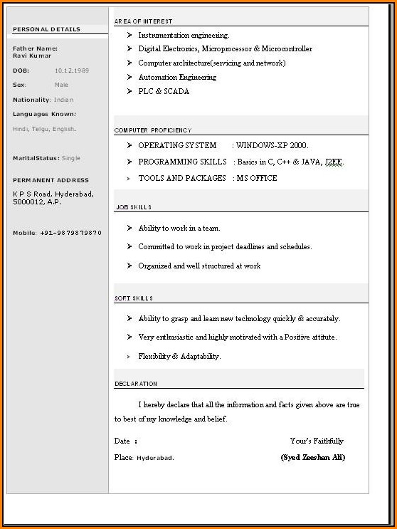 Resume Format Word File Download Free