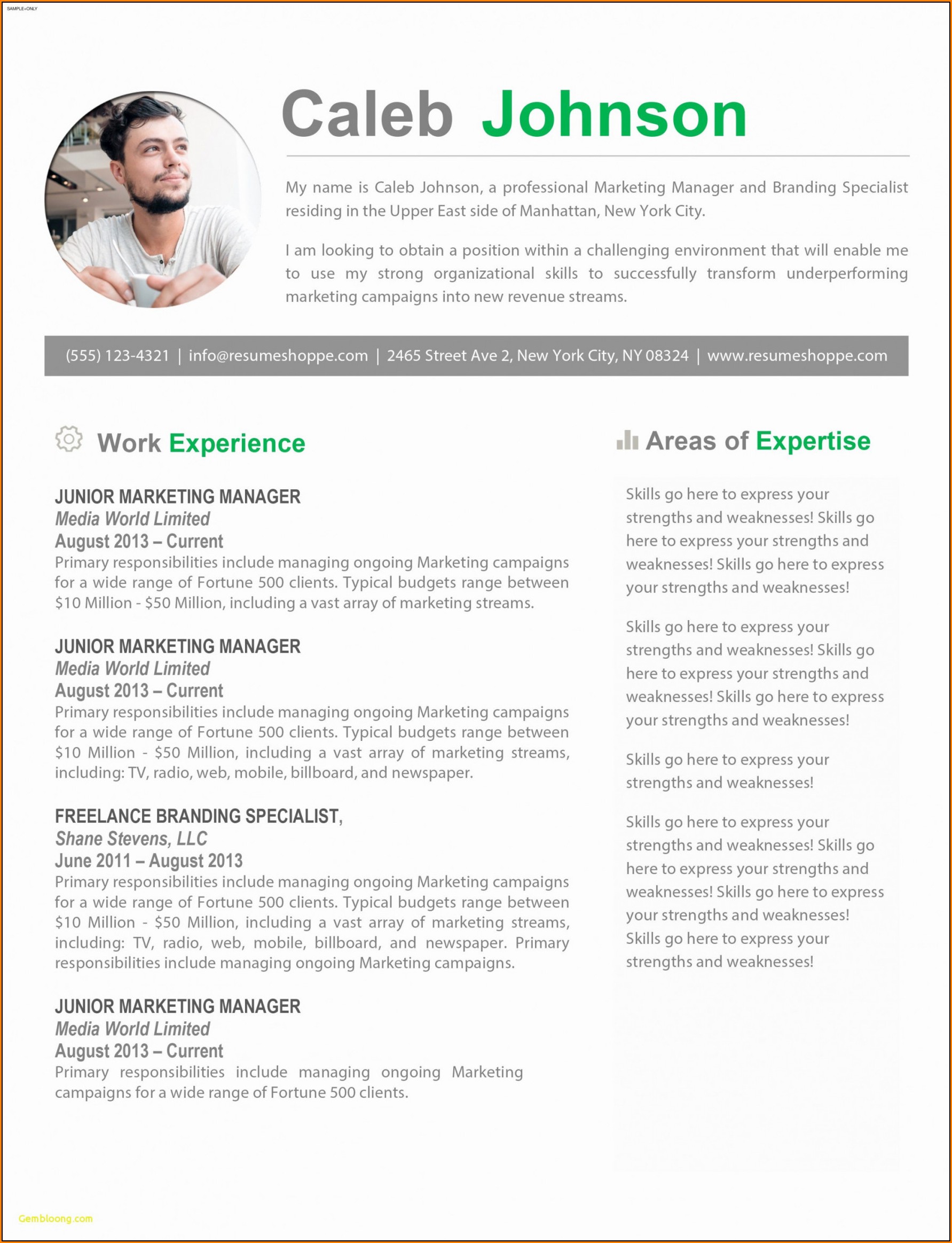 Resume Template For Mac Pages