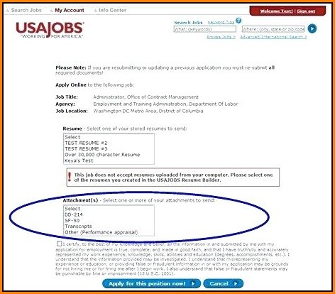 Usa Jobs Resume Template