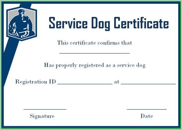 Free Service Dog Certificate Template