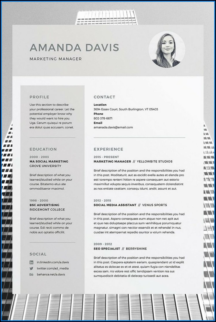 Fancy Resume Templates Word Free