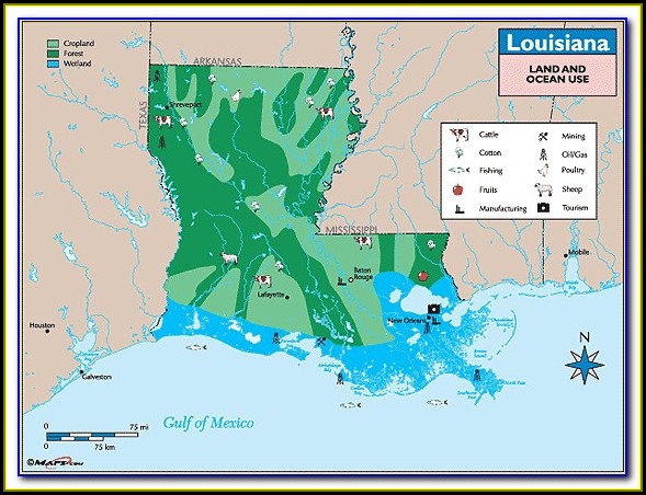 Louisiana Property Ownership Maps