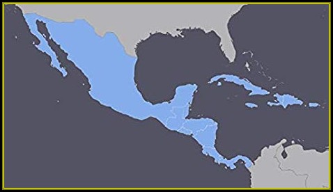 Mexico Gps Map For Garmin Devices