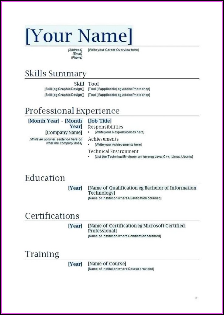 Professional Resume Template Microsoft Word 2010