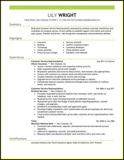 Resume Template For Customer Service