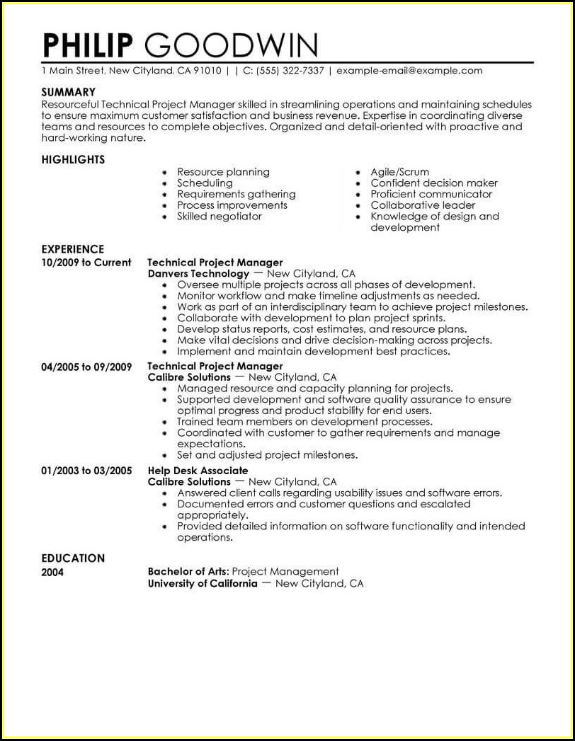 Resume Template Technical Project Manager
