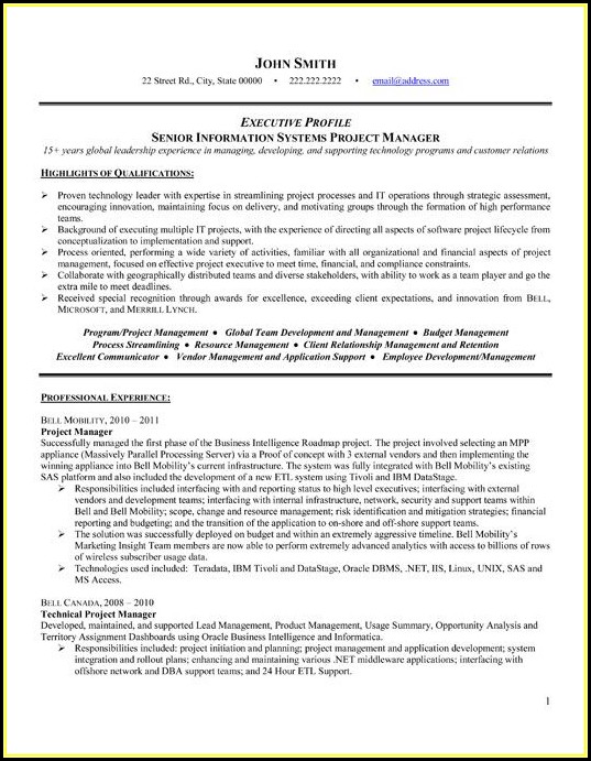 Resume Templates For Senior Project Manager