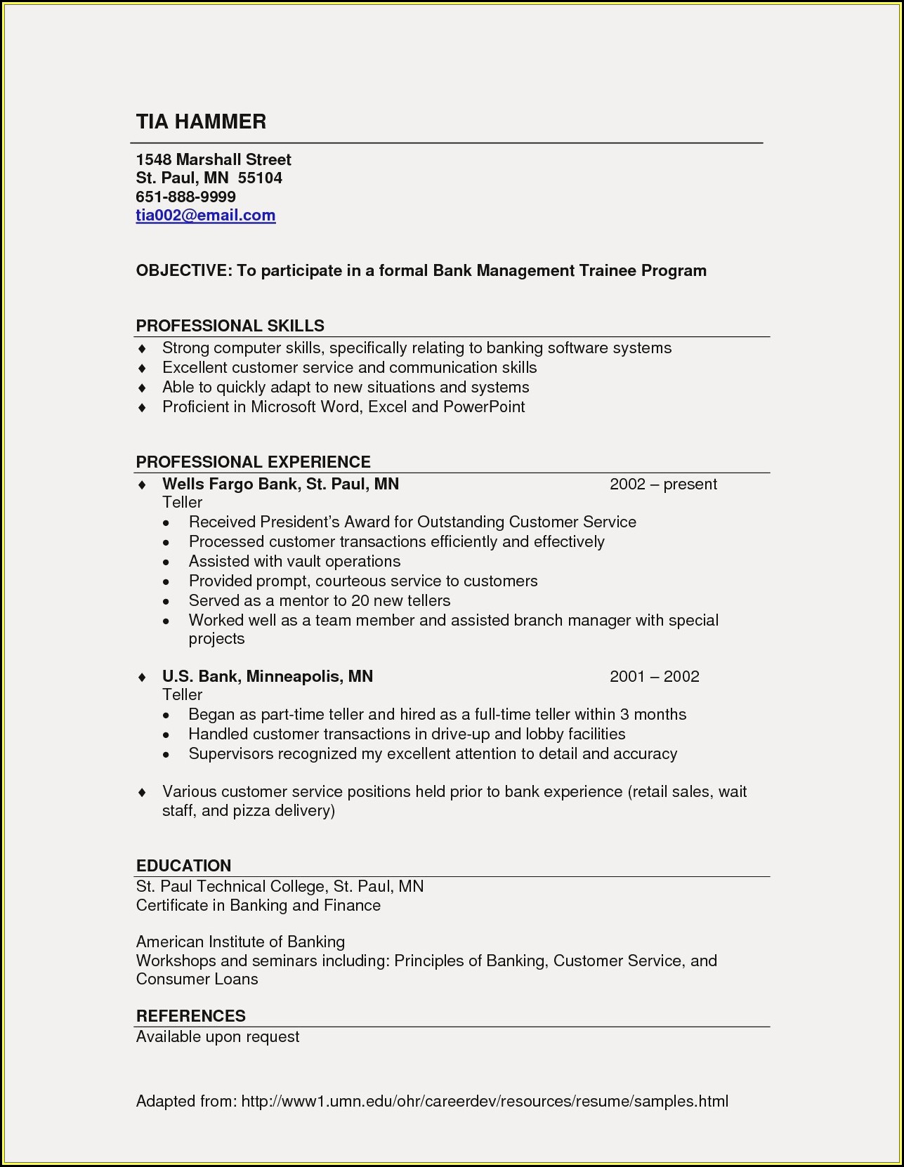 Resume Writing Services St Paul Mn