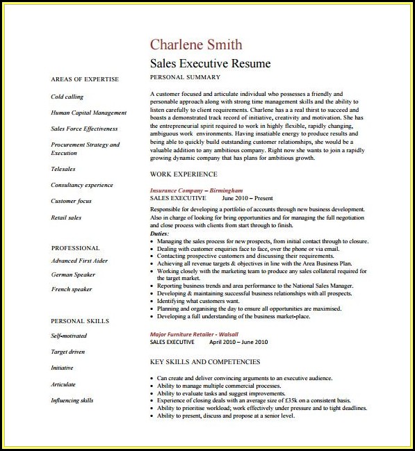 Sample Resume For Sales Executive Word Format