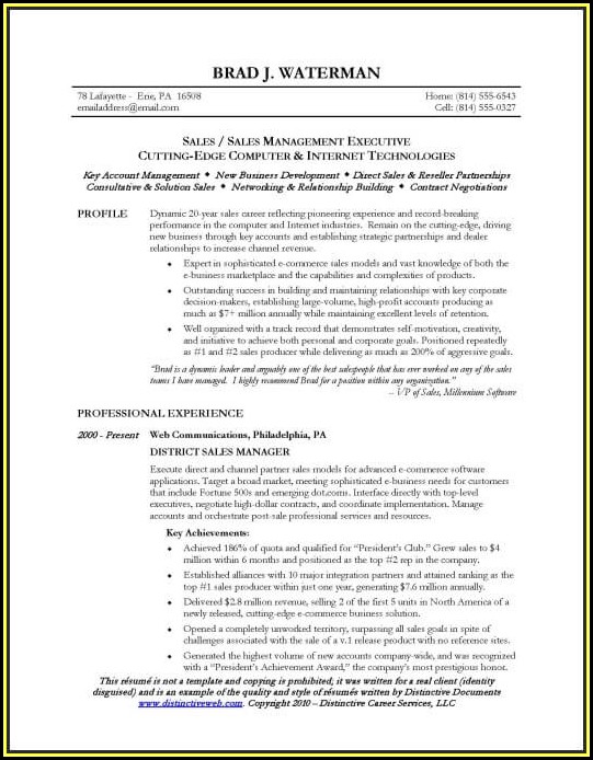 Sample Resume For Sales Executive