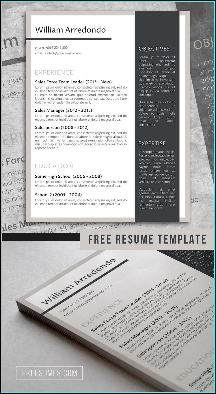 Free Stylish Resume Templates Docx