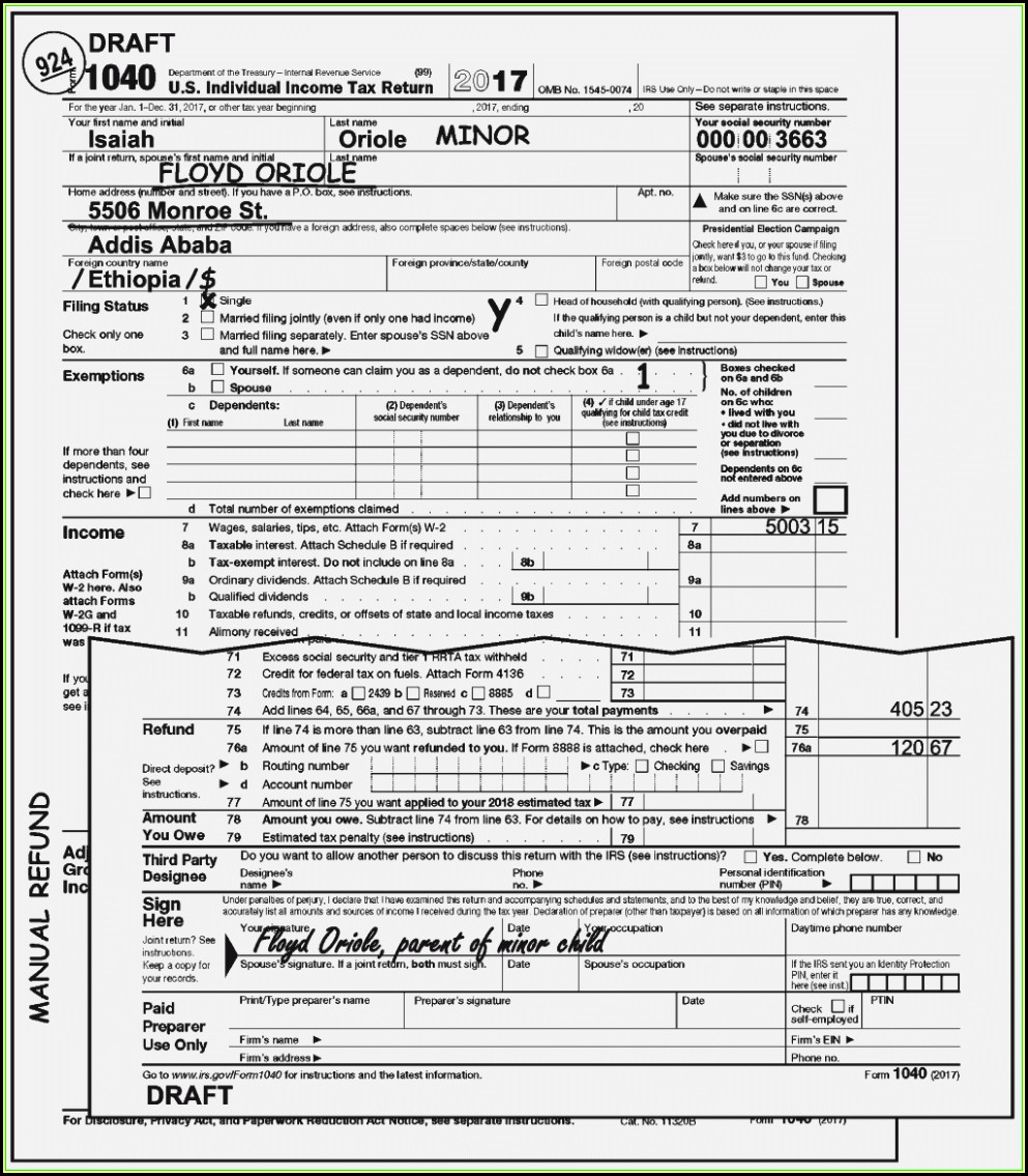 Ez Tax Form Instructions