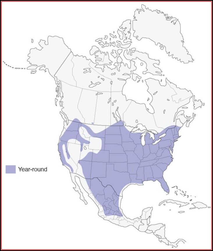Bird Range Maps North America