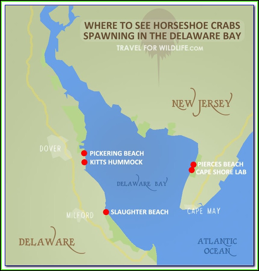 Map Of Shipwrecks In Delaware Bay