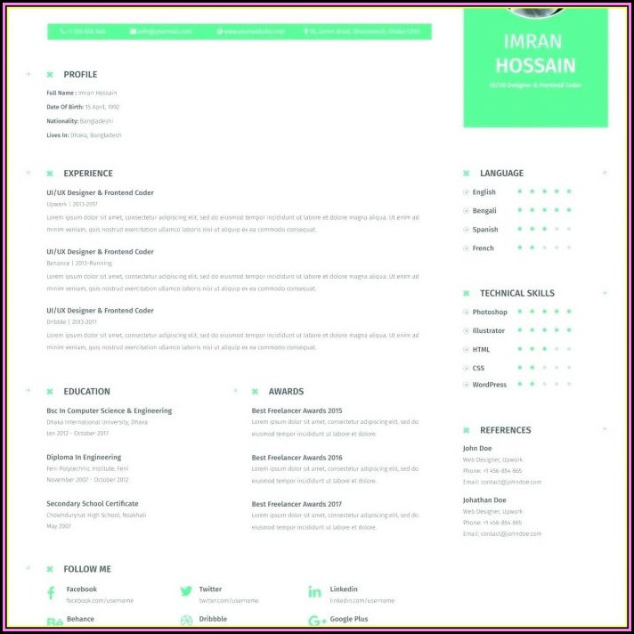 Attractive Resume Templates For Experienced