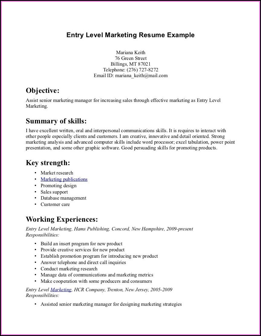 Entry Level Resume Templates Word