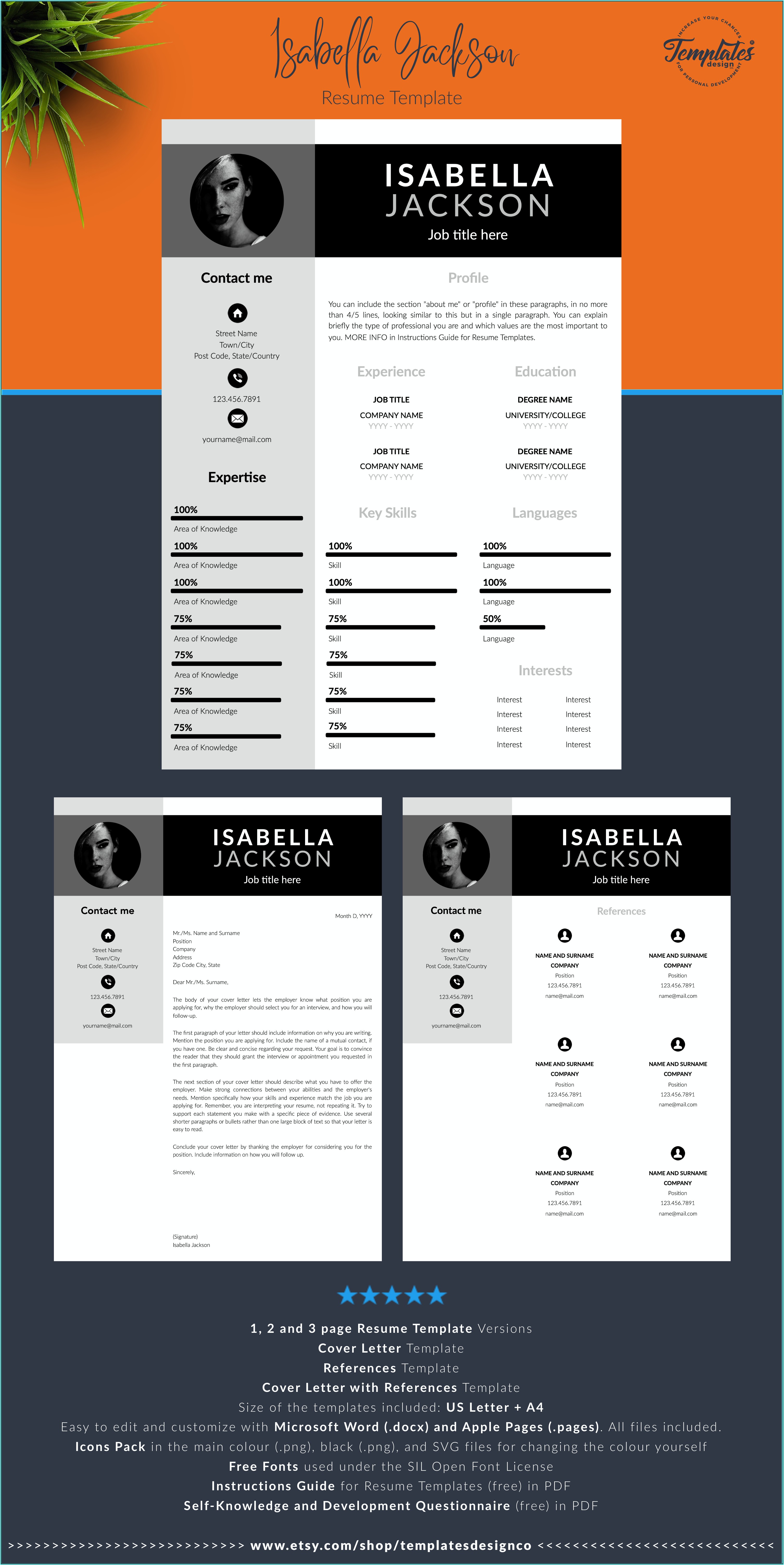 Professional Resume Template For Executives