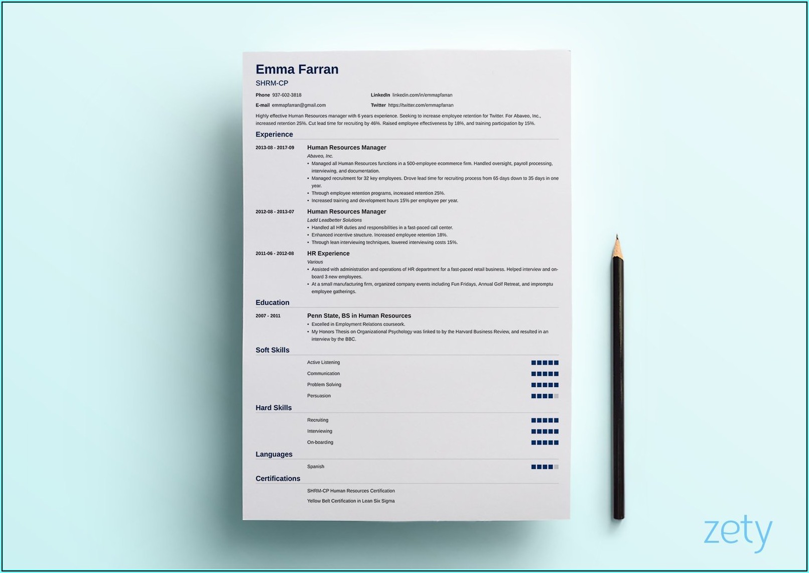 Resume Layout Examples Design