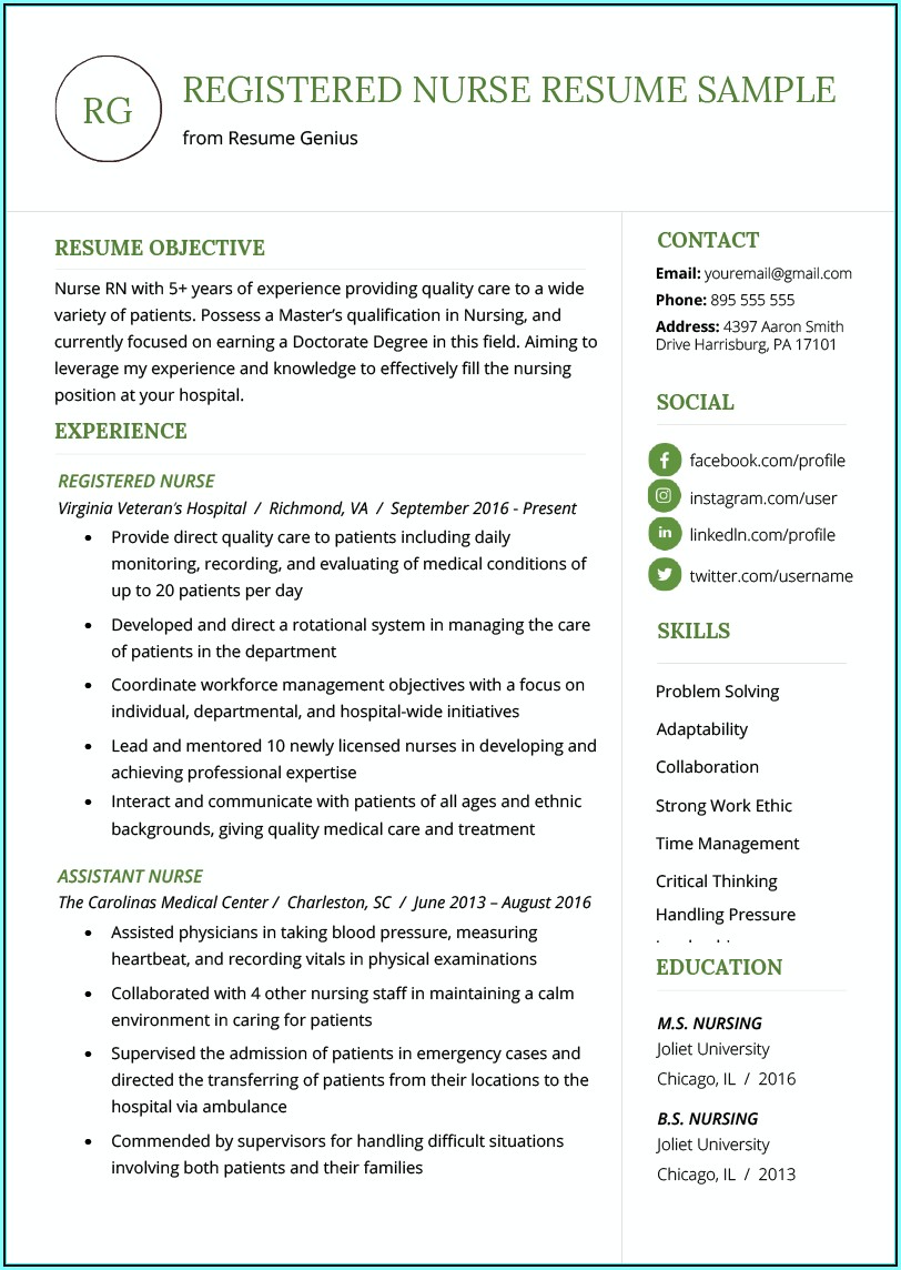 Resume Profile Examples For Registered Nurse