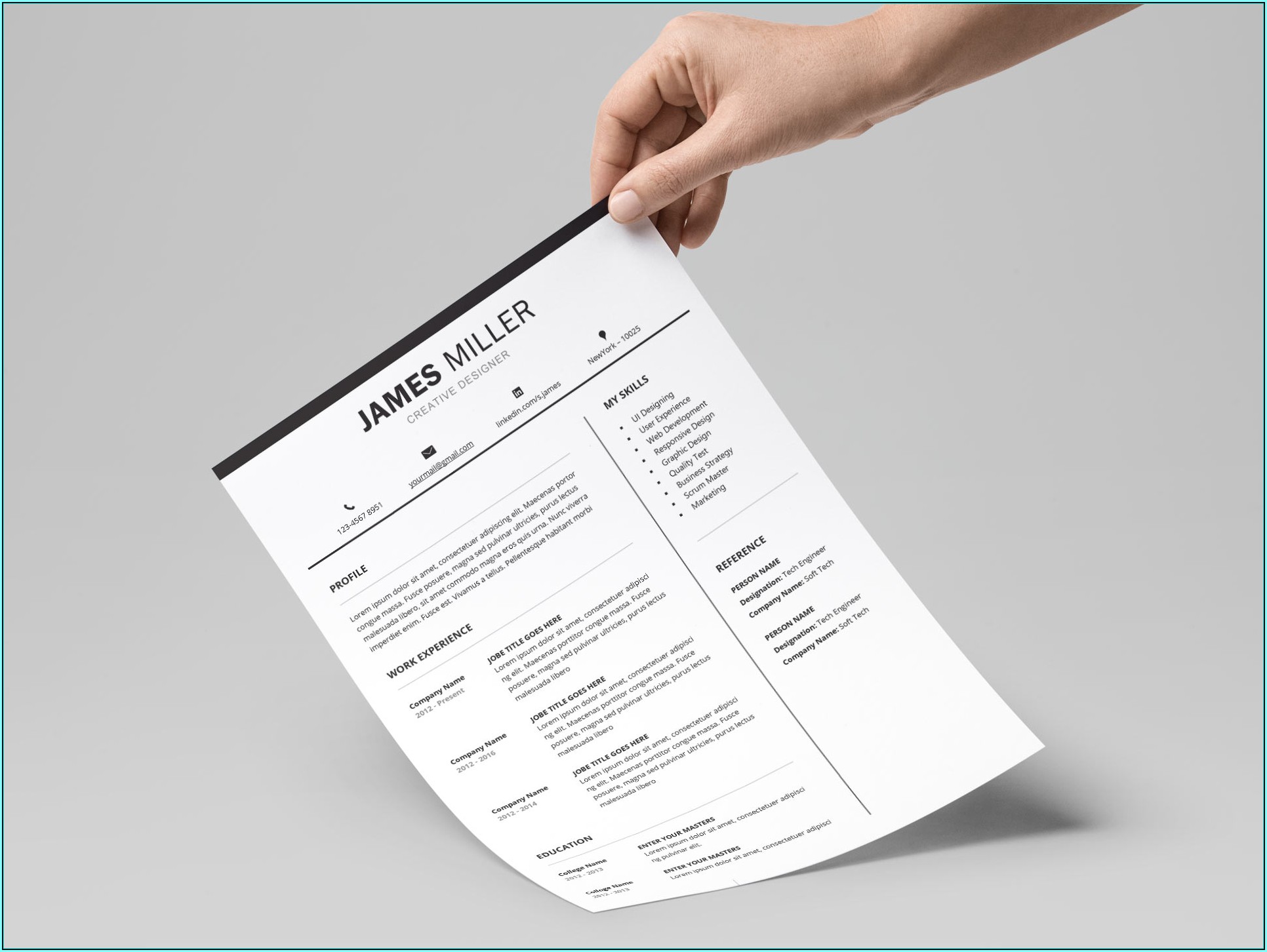 Resume Template For Professionals
