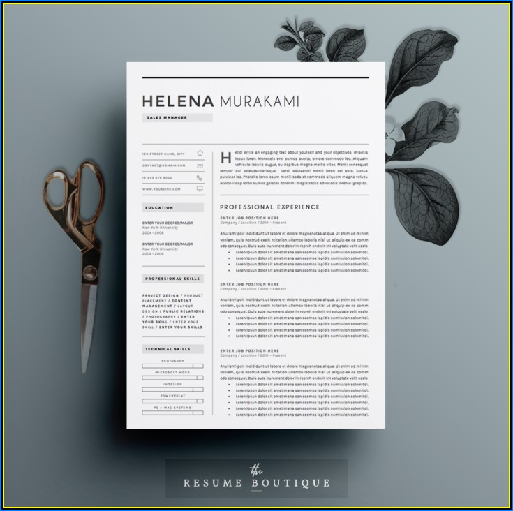 Resume Templates For Sales Manager