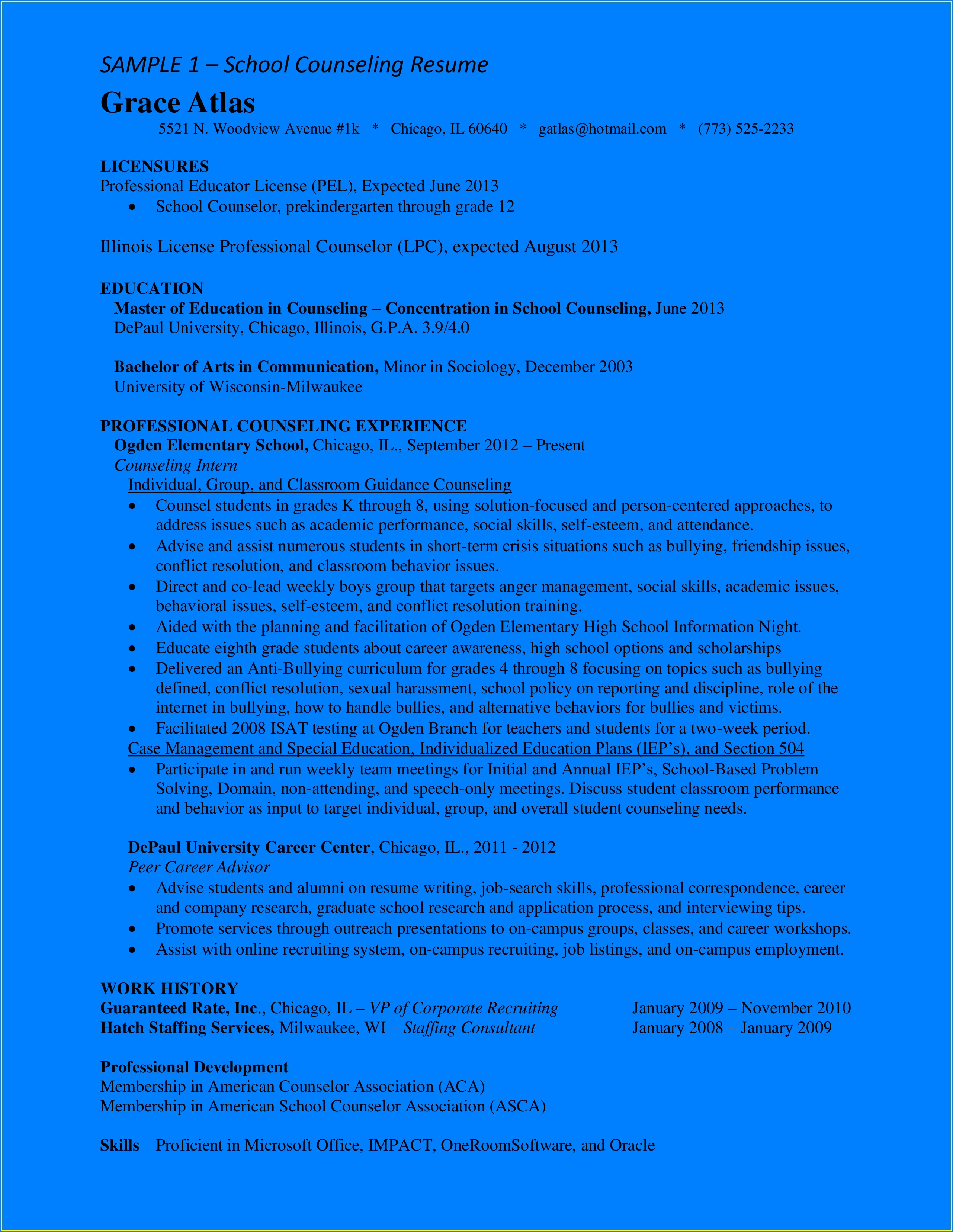School Counselor Resume Templates
