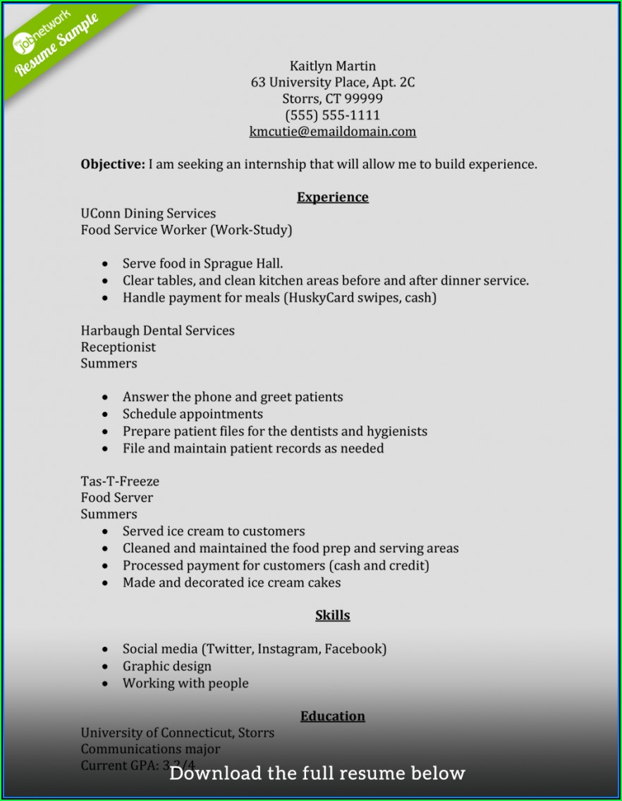 Example Of A Perfect Resume Format