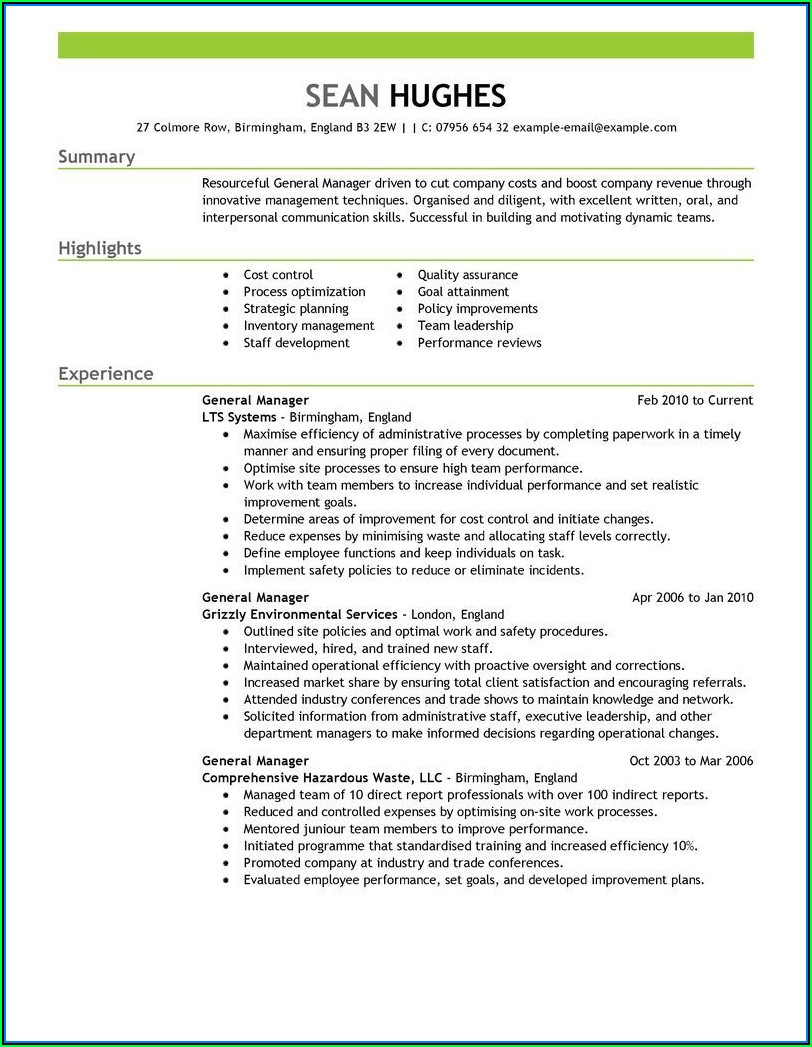 Example Professional Resumes