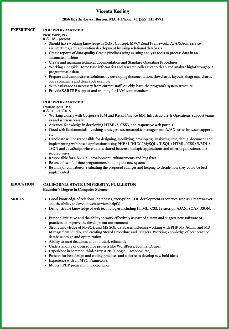 Experienced Php Programmer Resume