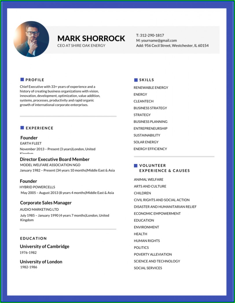 Free Example Of Resume Templates