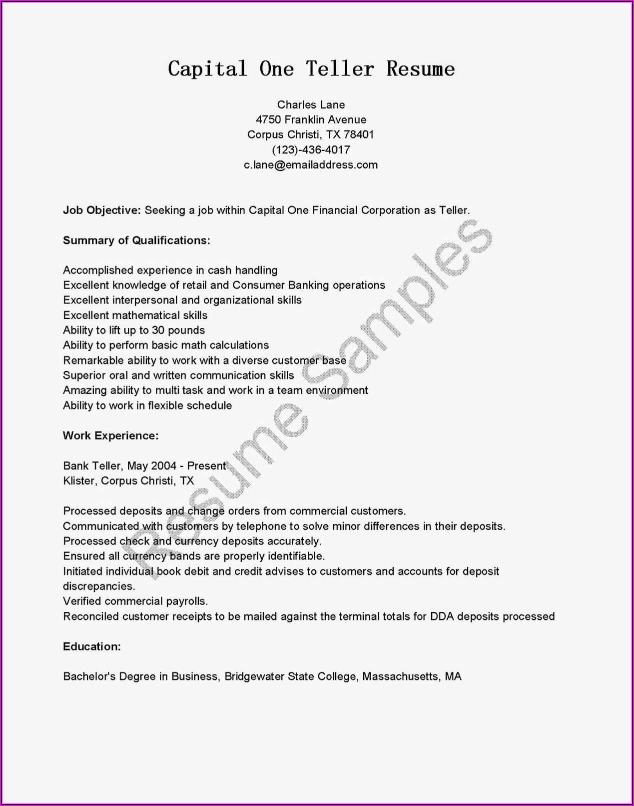 Professional Nursing Resume Services