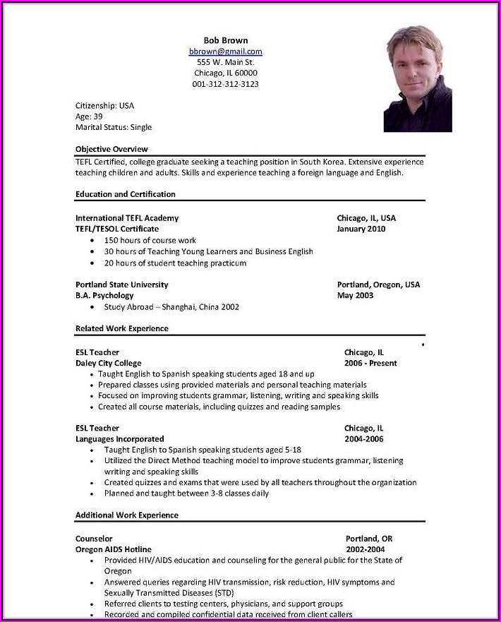 Resume Format For It Professional In Usa