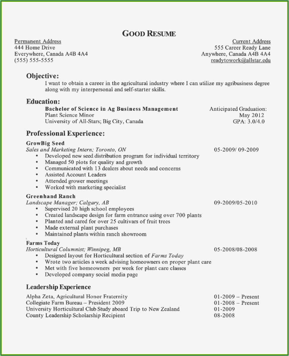 Resume Objective Examples For Retail Jobs