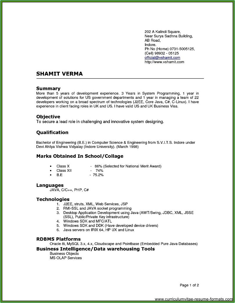 Resume Templates For Experienced Software Professionals