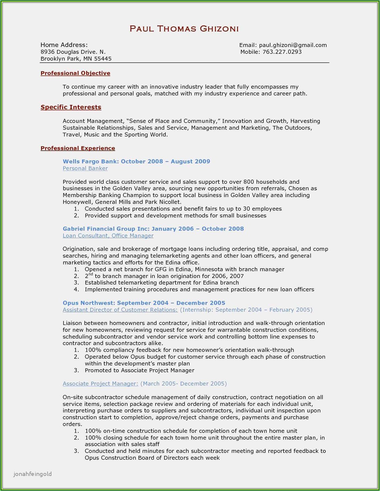 Sample Resume Of Project Sales Manager