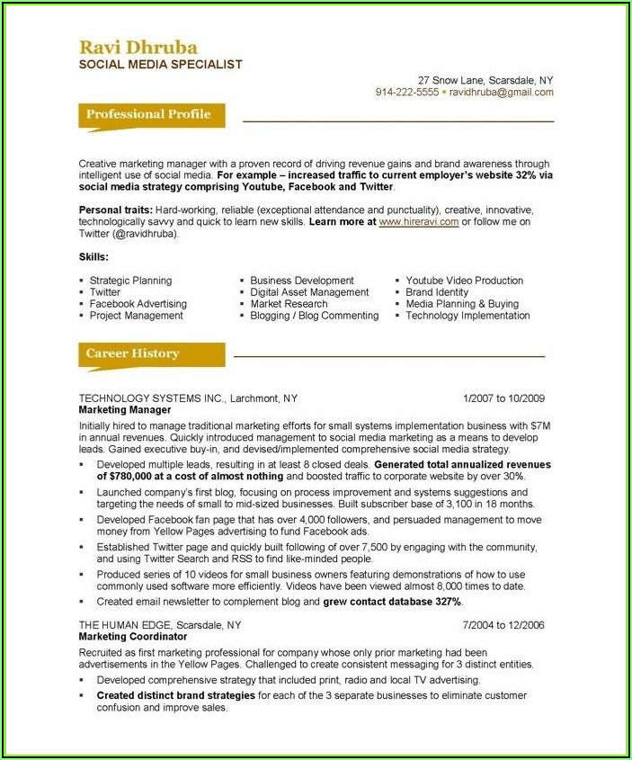 Software Engineer Professional Resume Template