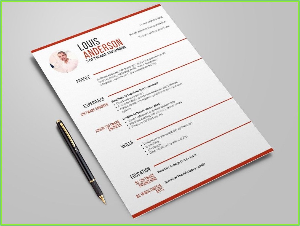Software Professional Resume Template