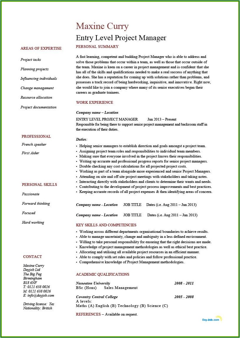 Template Resume Project Manager