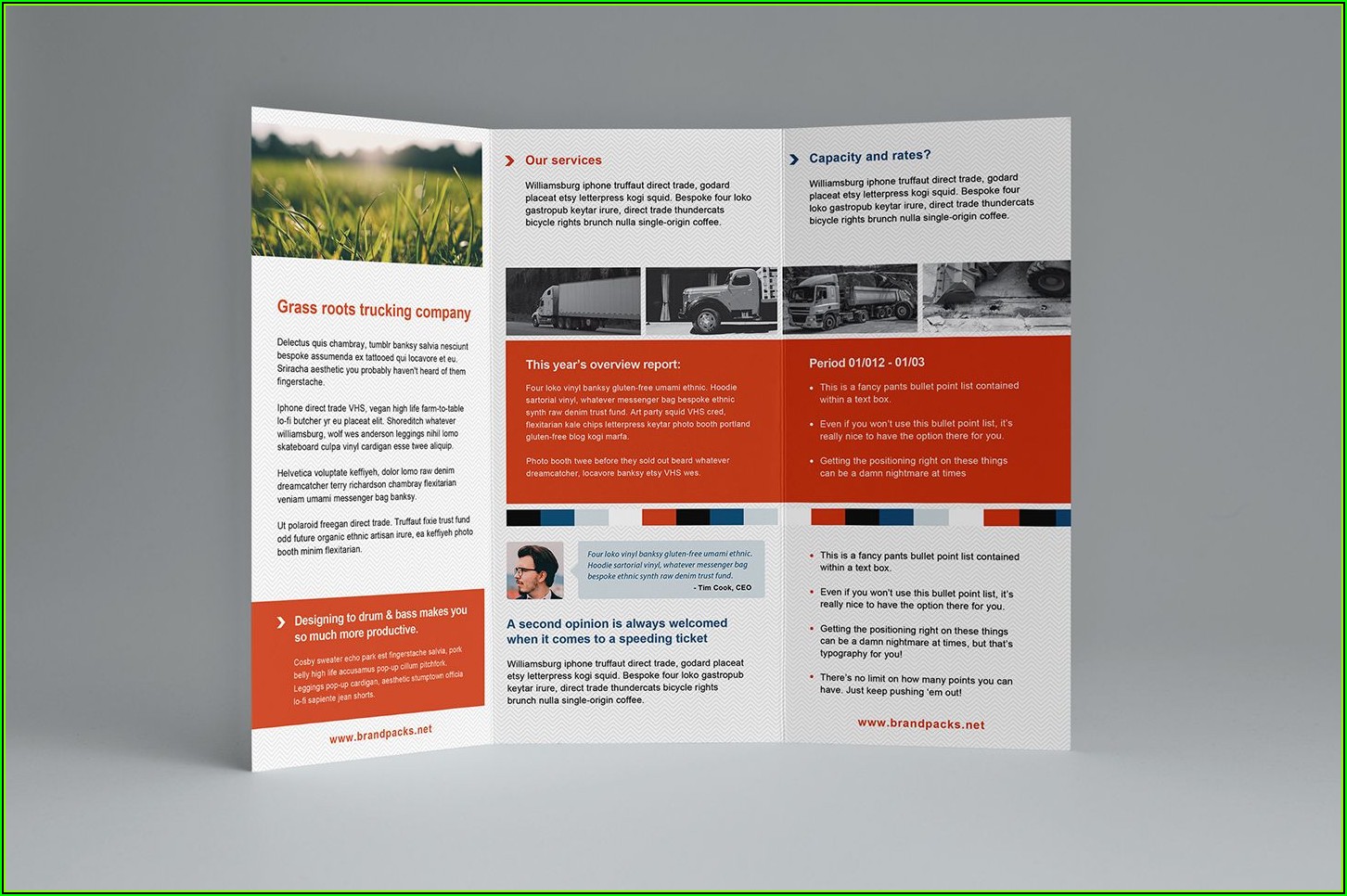3 Fold Brochure Template Illustrator Free