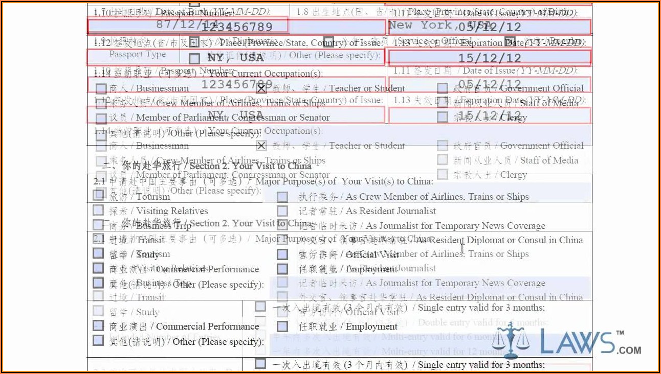 Fillable Chinese Visa Application Form