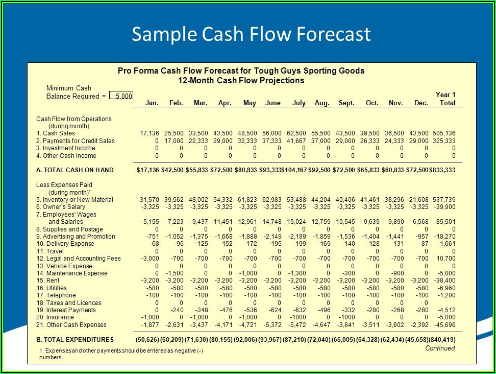Sample Pro Forma Cash Flow Projection