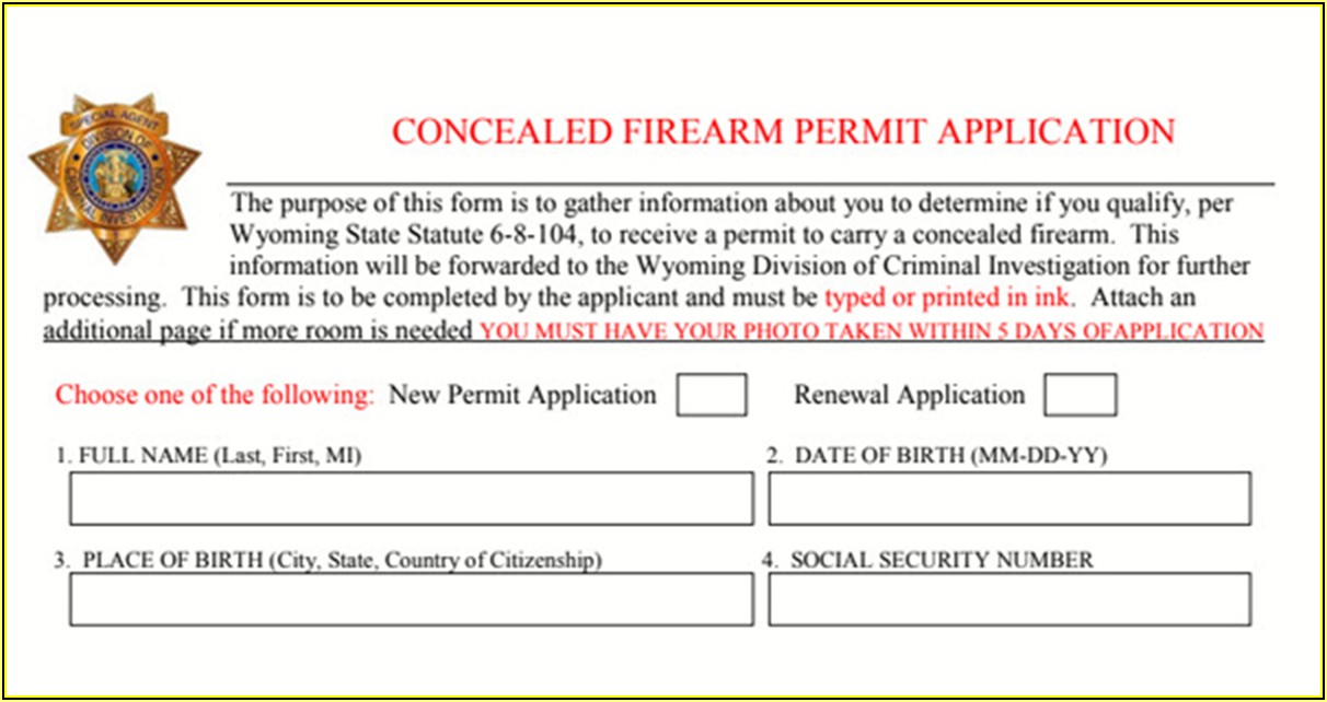 Florida Concealed Weapons Permit Renewal Application Form