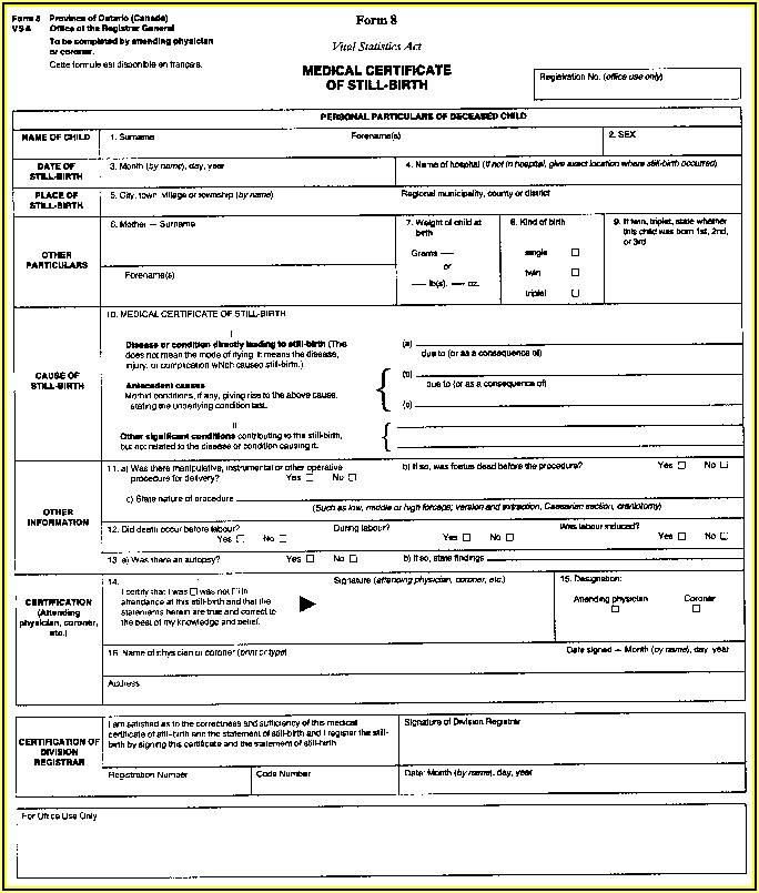 Quebec Birth Certificate Replacement Form