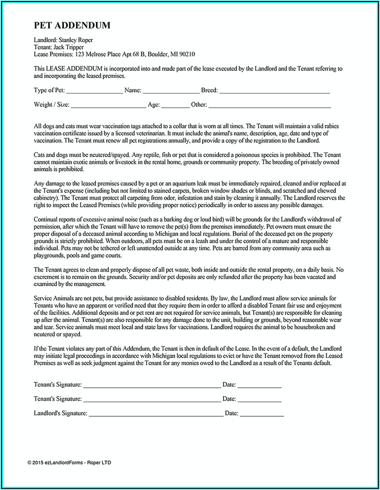 Rental Agreement Forms California