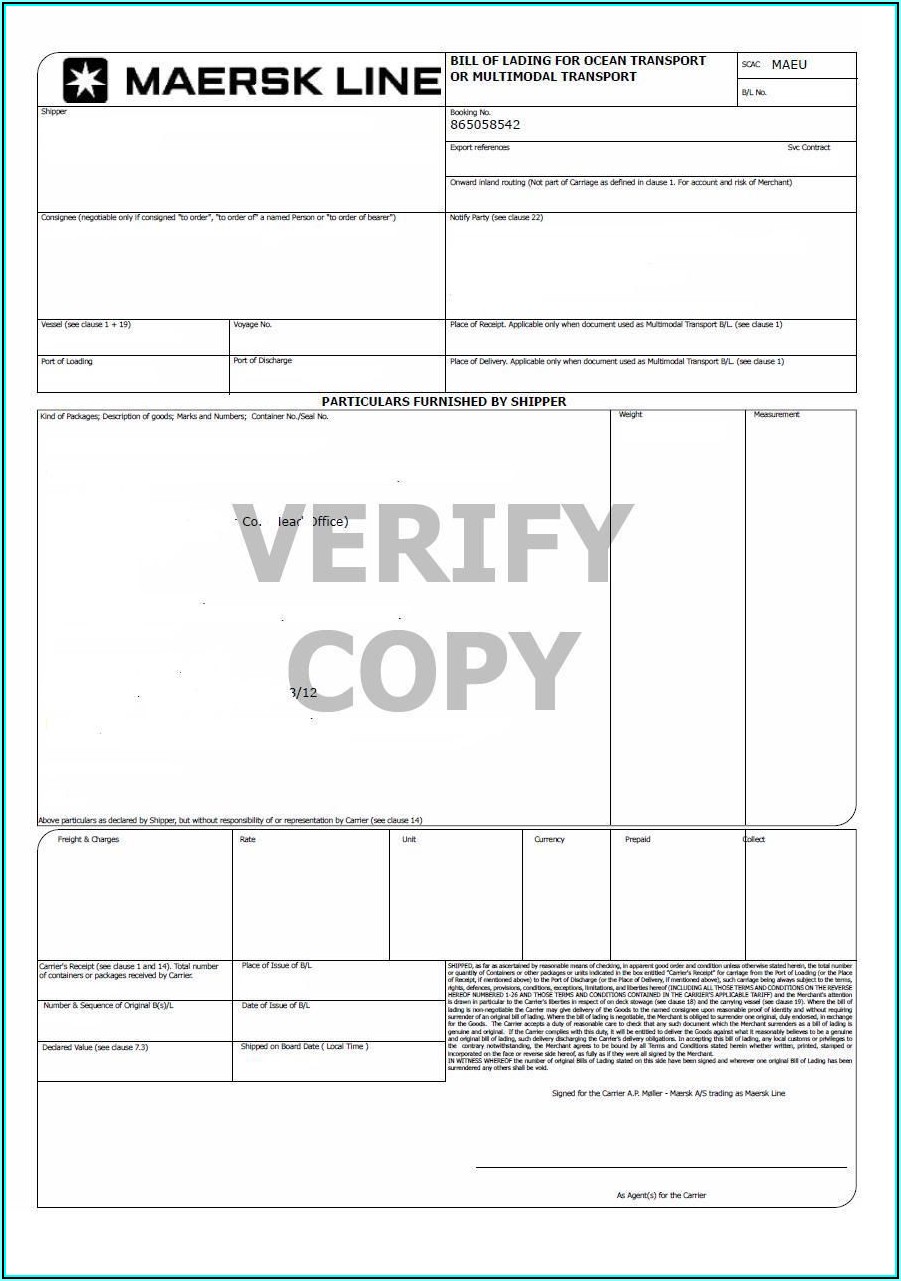 Ocean Freight Bill Of Lading Template