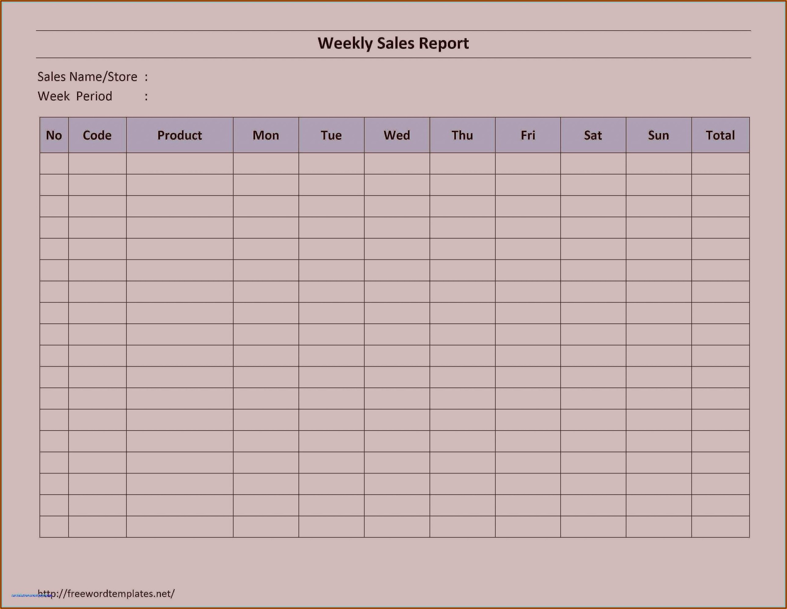 Free Daily Sales Report Template