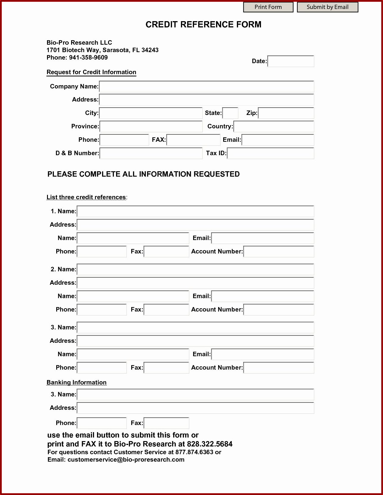 Business Credit Check Form Template