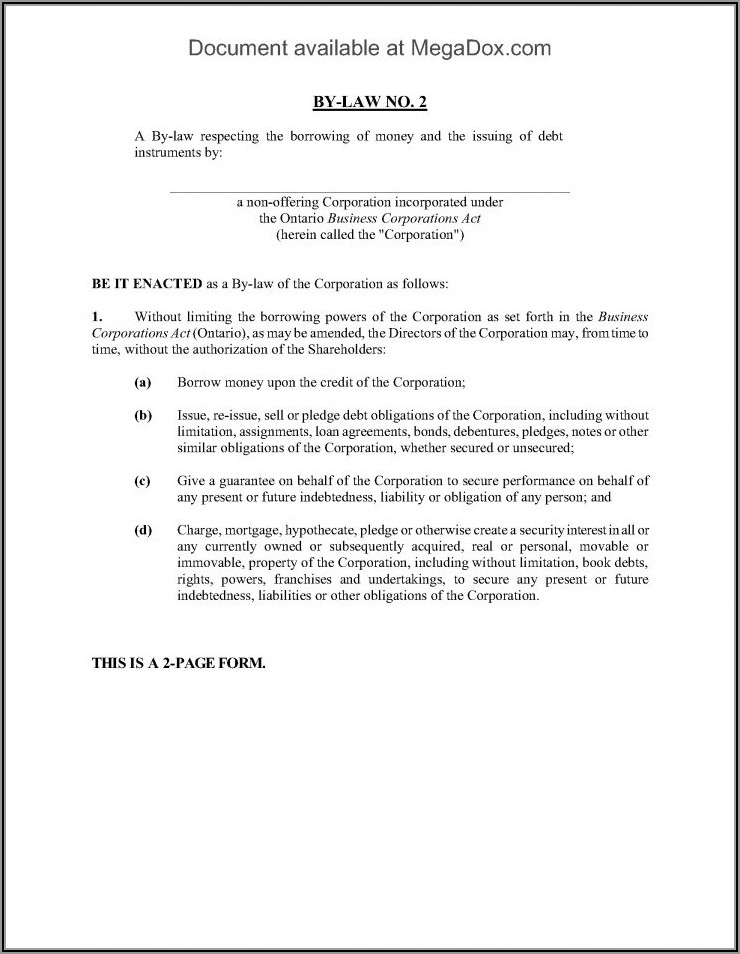 Bylaws Template For S Corporation